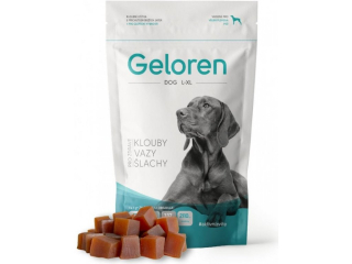 Contipro Geloren DOG L-XL