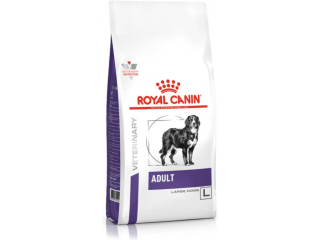 Royal Canin Adult Large Dog 13kg