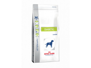 Royal Canin Canine Diabetic dog