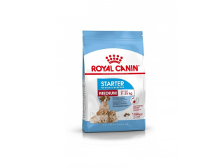 Royal Canin Starter Medium dog
